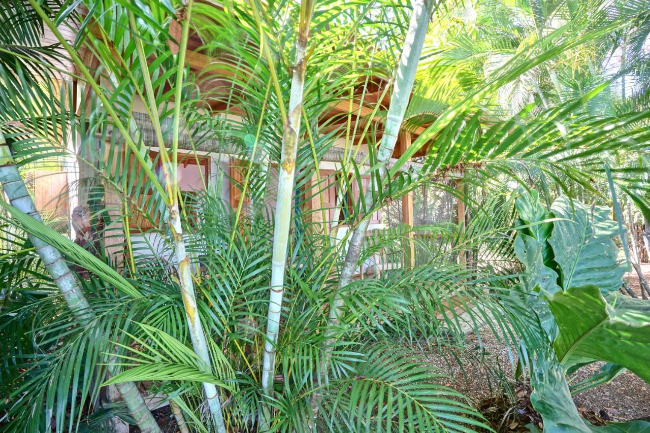 Calamocha Lodge Playa Santa Teresa  Extérieur photo